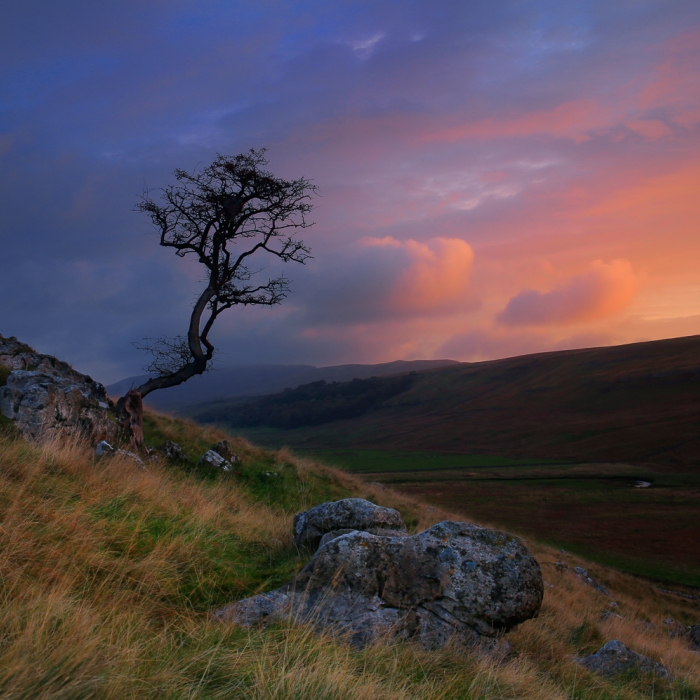 Anglie - Yorkshire Dales