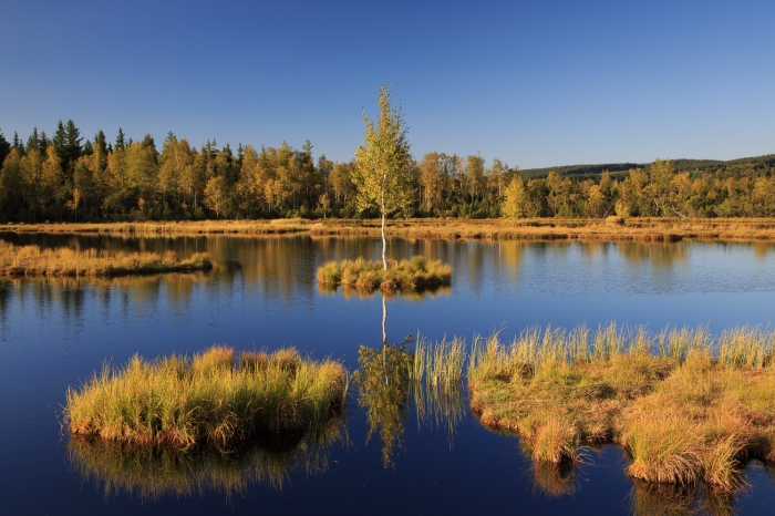 Čechy - Šumava